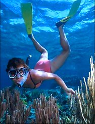 snorkeling in Punta Mita