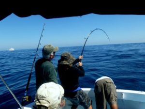 bottom fishing in Punta Mita