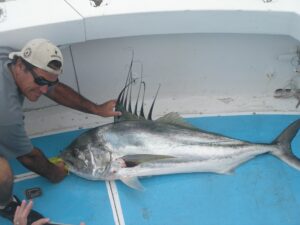 marlin fishing in Punta Mita,Mexico