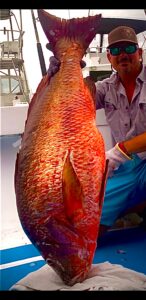 Punta Mita fishing trips