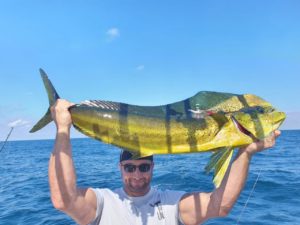 mahi mahi fishing in nuevo vallarta