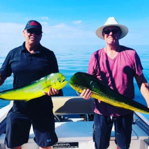 roosterfish in Punta Mita