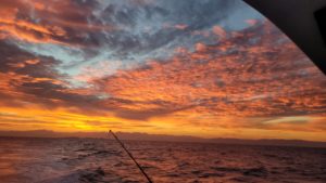 Punta Mita fishing reservations