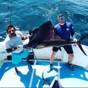 sailfish in Punta Mita, Mexico