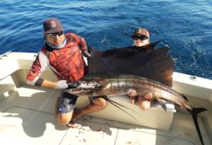 sailfish in Punta Mita,Mexico