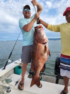 snapper fishing in Punta Mita