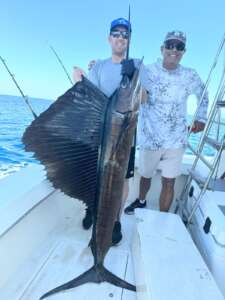 sailfish action Punta Mita