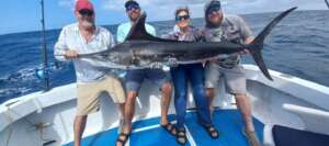 marlin fishing in Punta Mita