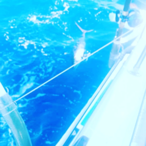 Fishing report Punta Mita